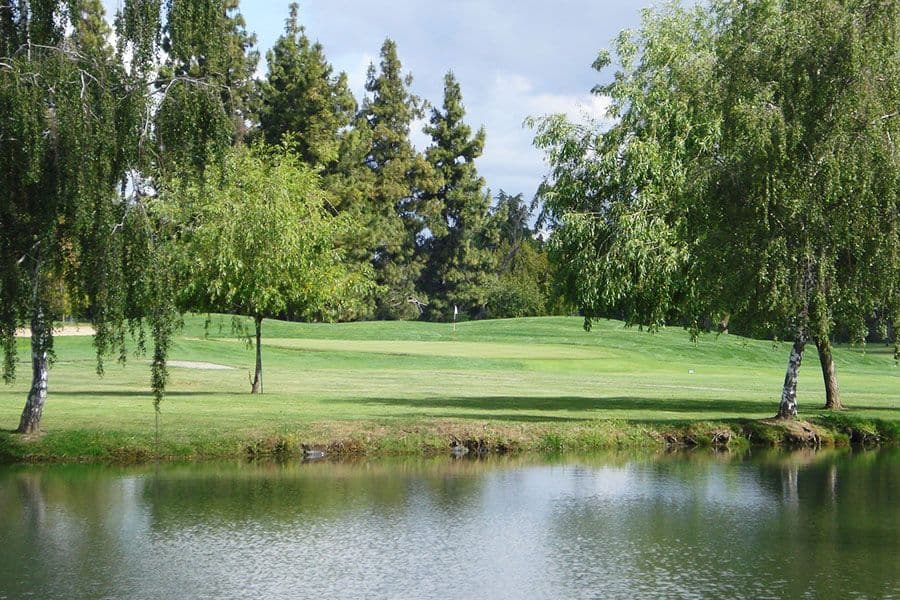 A scenic view across a pond toward a manicured green flanked by weeping willows and tall pines under a partly cloudy sky.
